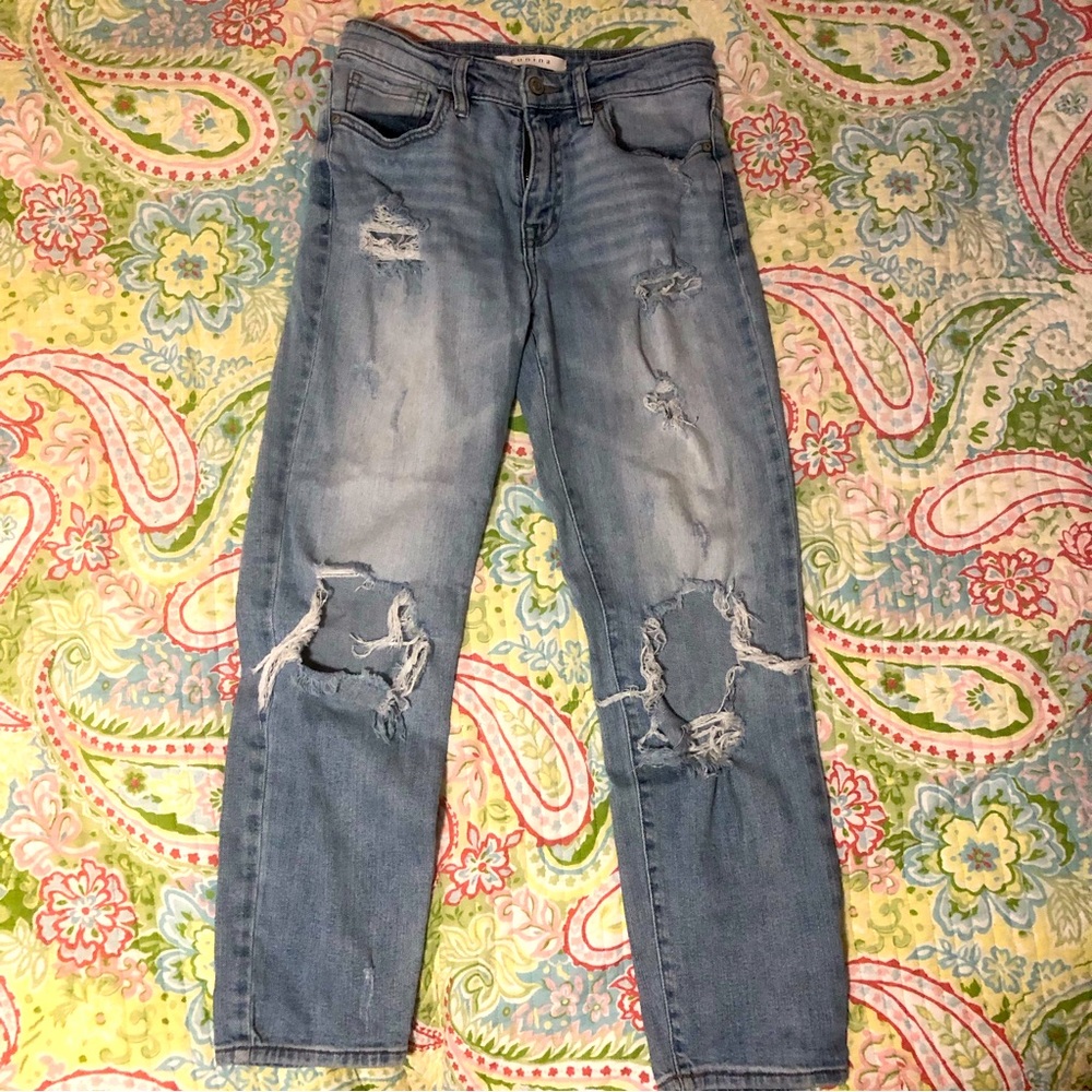 Eunina Tobi High Rise Relaxed Crop Jeans